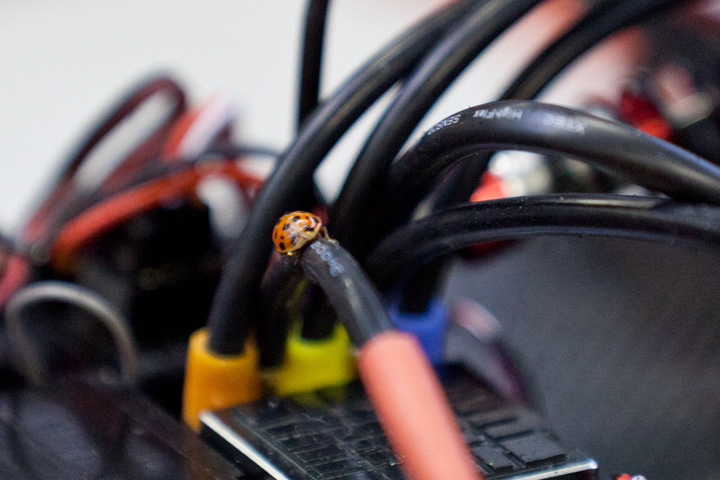 04032012_DM_Gelenau0122