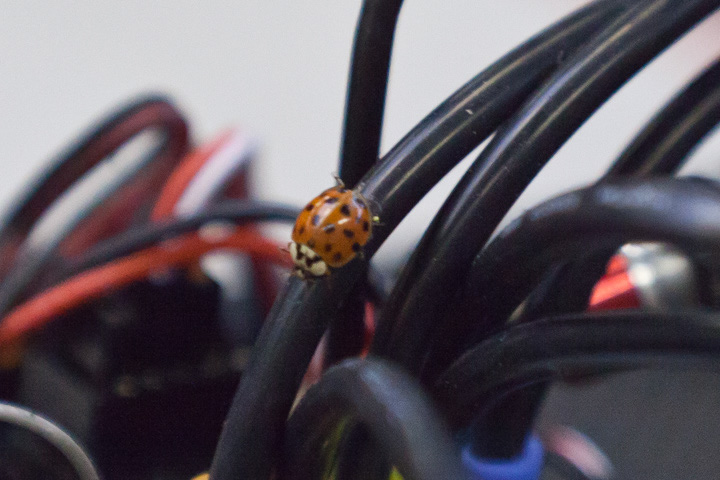 04032012_DM_Gelenau0121